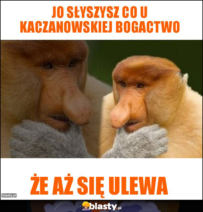 JO SŁYSZYSZ CO U KACZANOWSKIEJ BOGACTWO