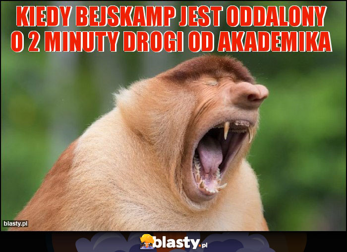 Kiedy bejskamp jest oddalony o 2 minuty drogi od akademika