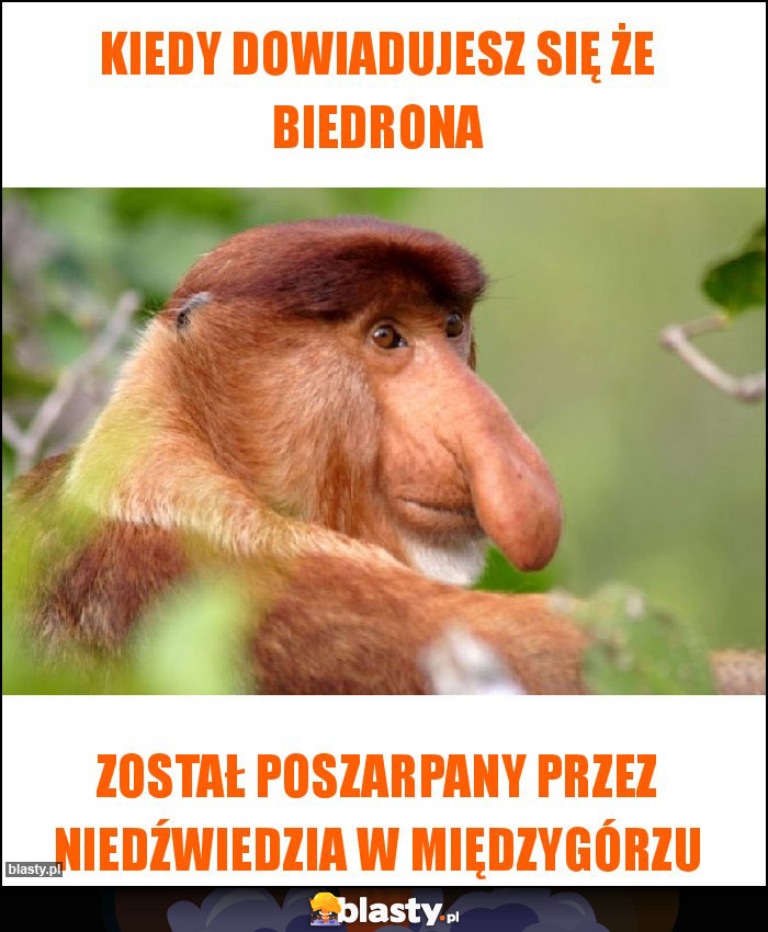 Kiedy dowiadujesz się że biedrona