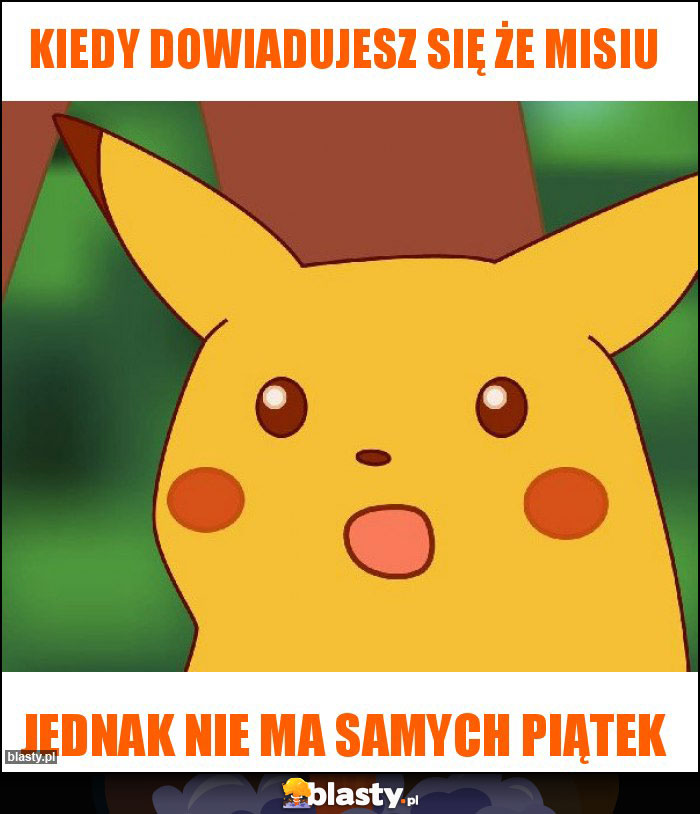 Kiedy dowiadujesz się że misiu