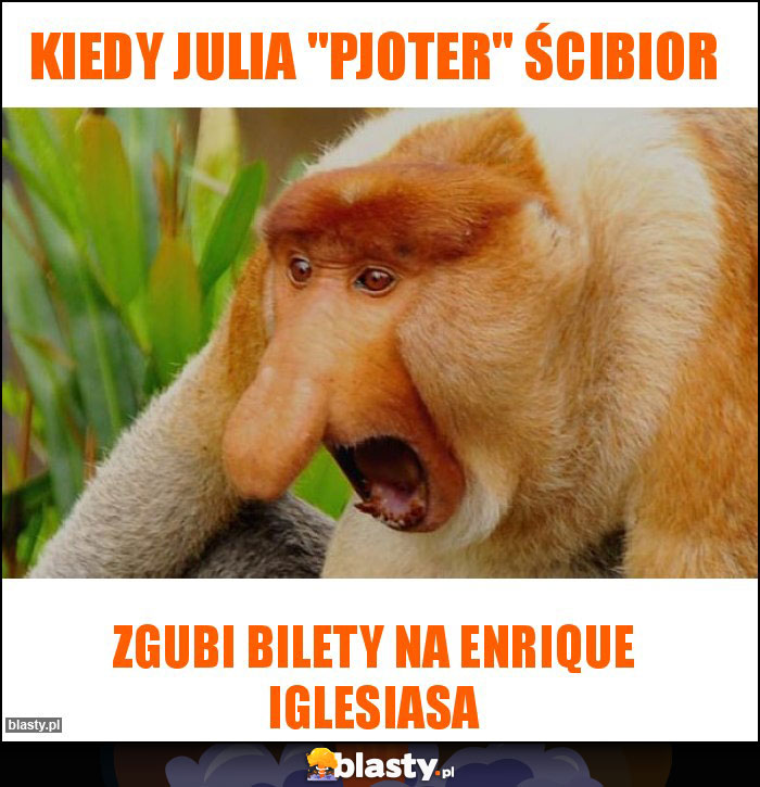 kiedy julia 