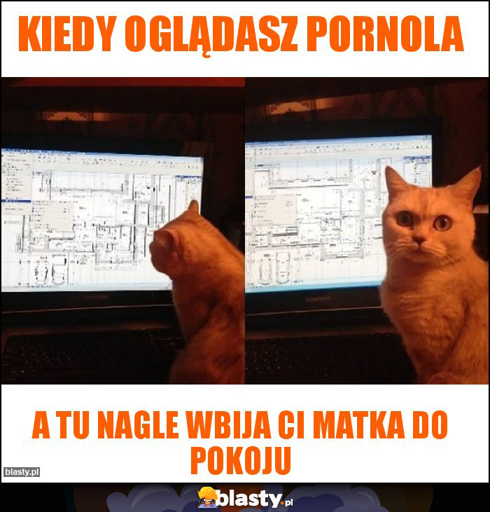 Kiedy oglądasz pornola