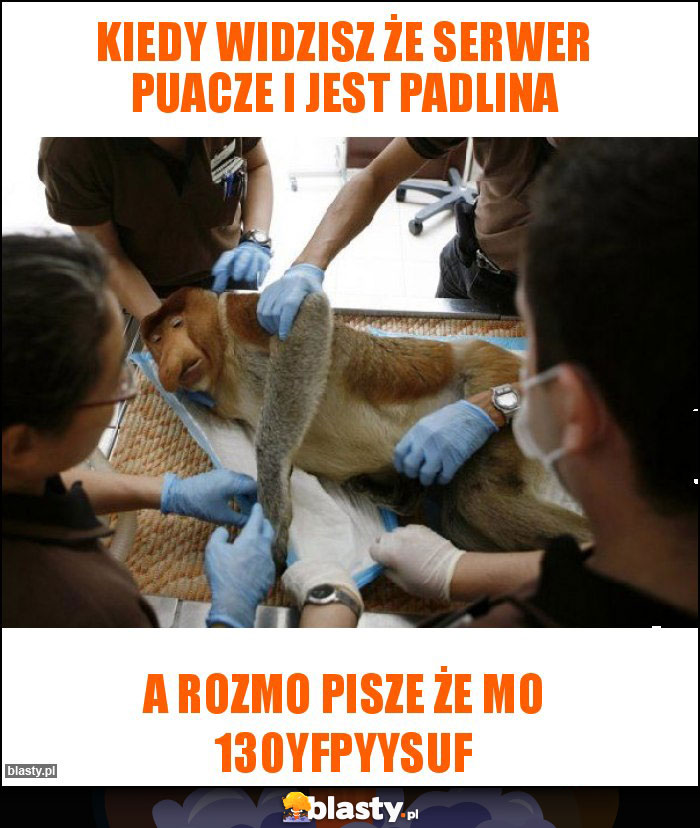 KIEDY WIDZISZ ŻE SERWER PUACZE I JEST PADLINA