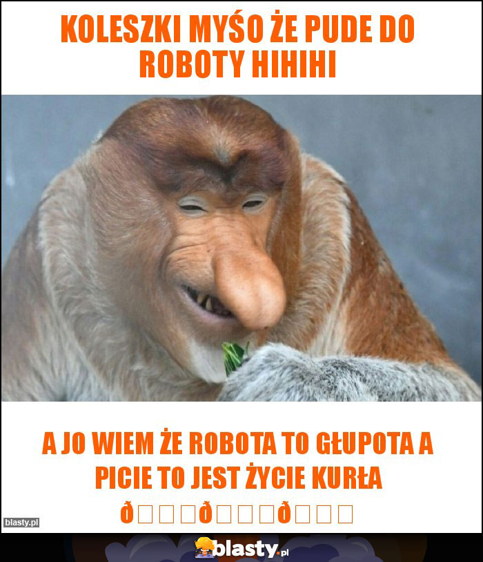 Koleszki myśo że pude do roboty hihihi