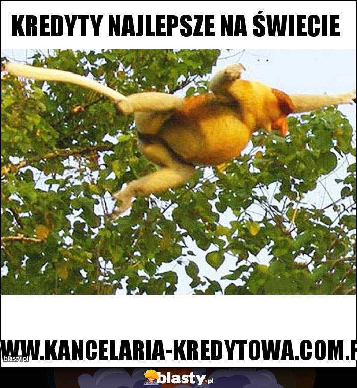 Kredyty najlepsze na świecie