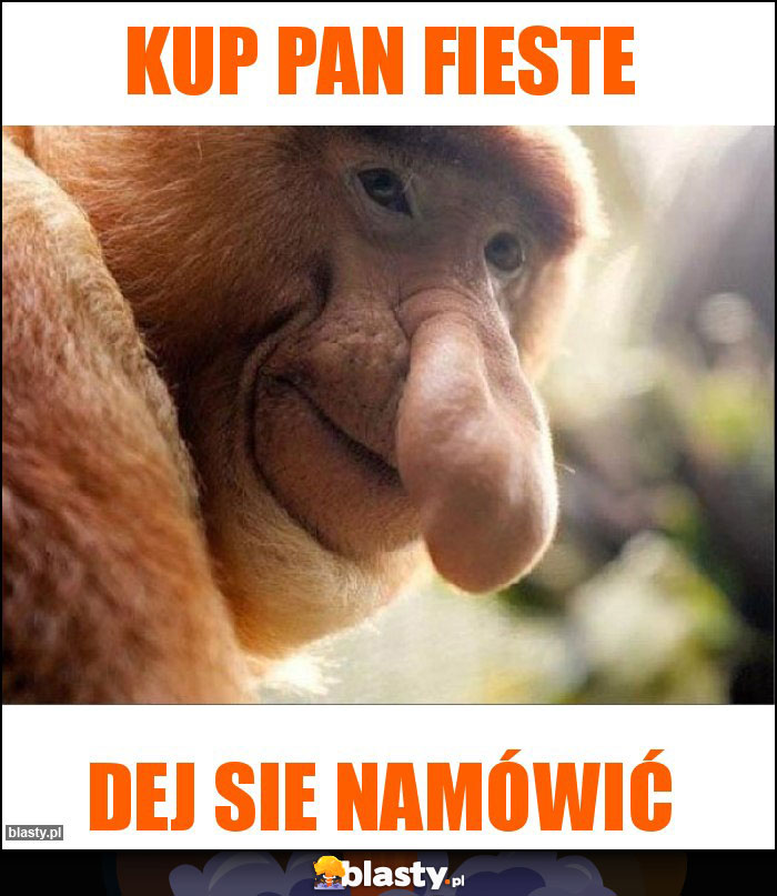 Kup pan fieste