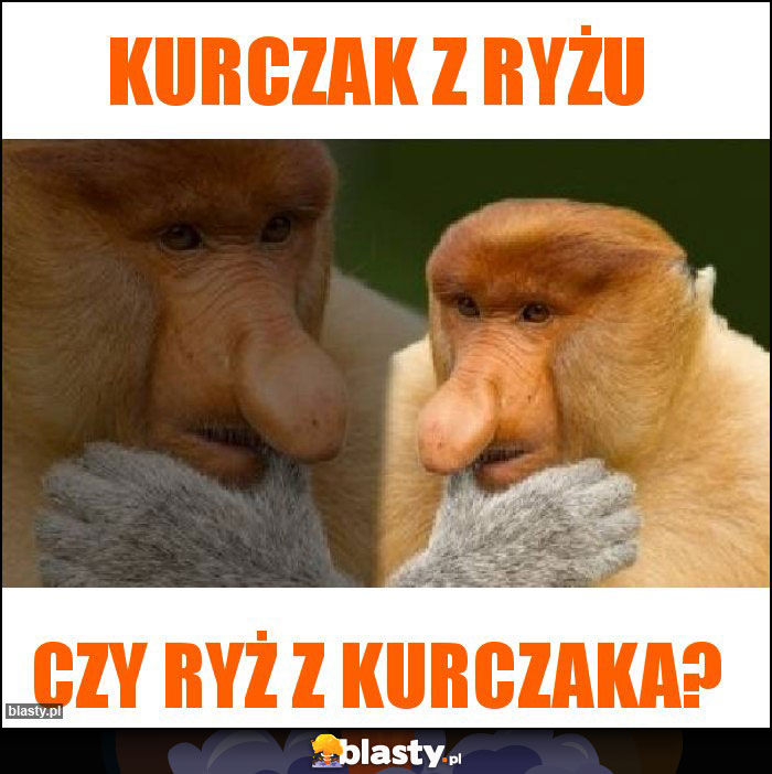 Kurczak z ryżu