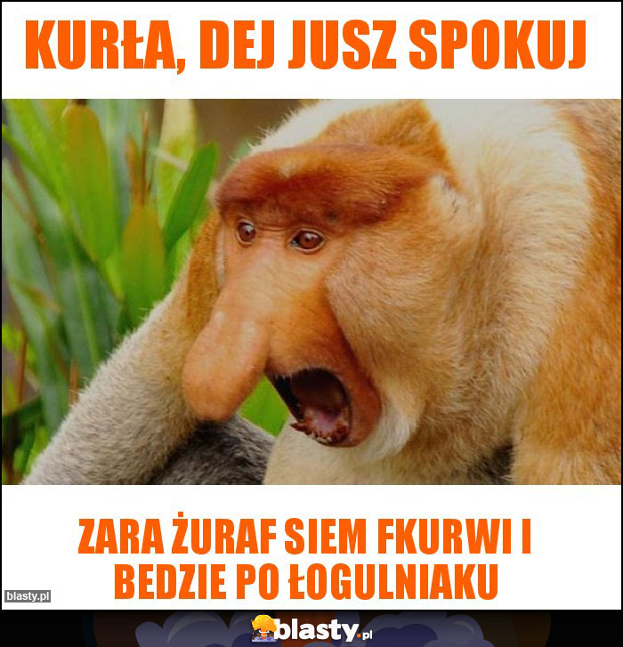 Kurła, dej jusz spokuj