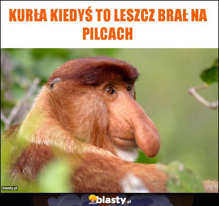 Kurła kiedyś to leszcz brał na pilcach