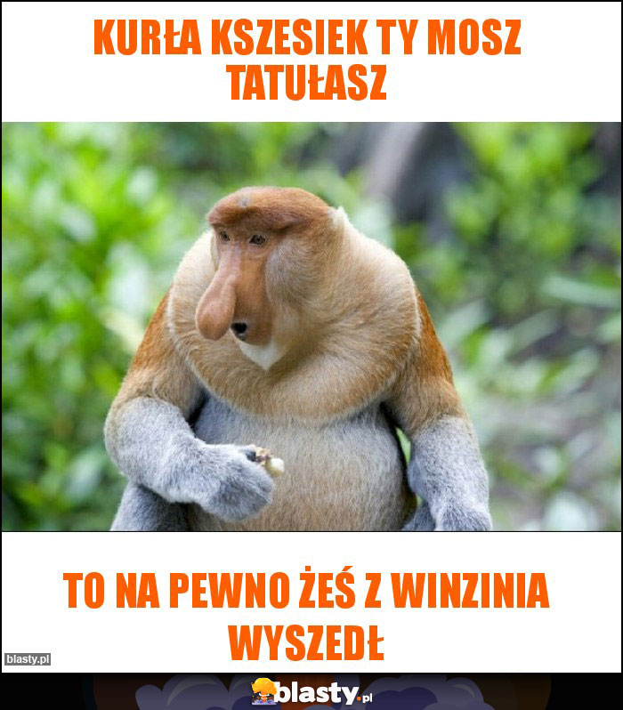 KURŁA KSZESIEK TY MOSZ TATUŁASZ