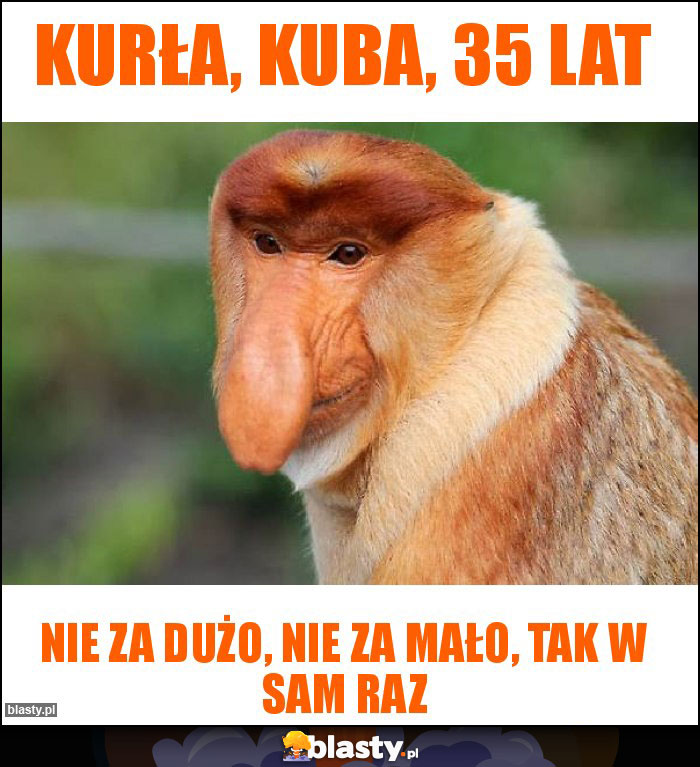 kurła, kuba, 35 lat