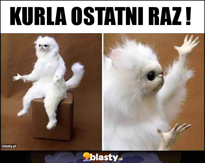 Kurla ostatni raz !