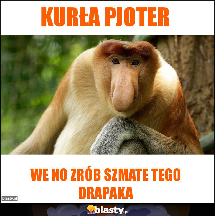 Kurła Pjoter