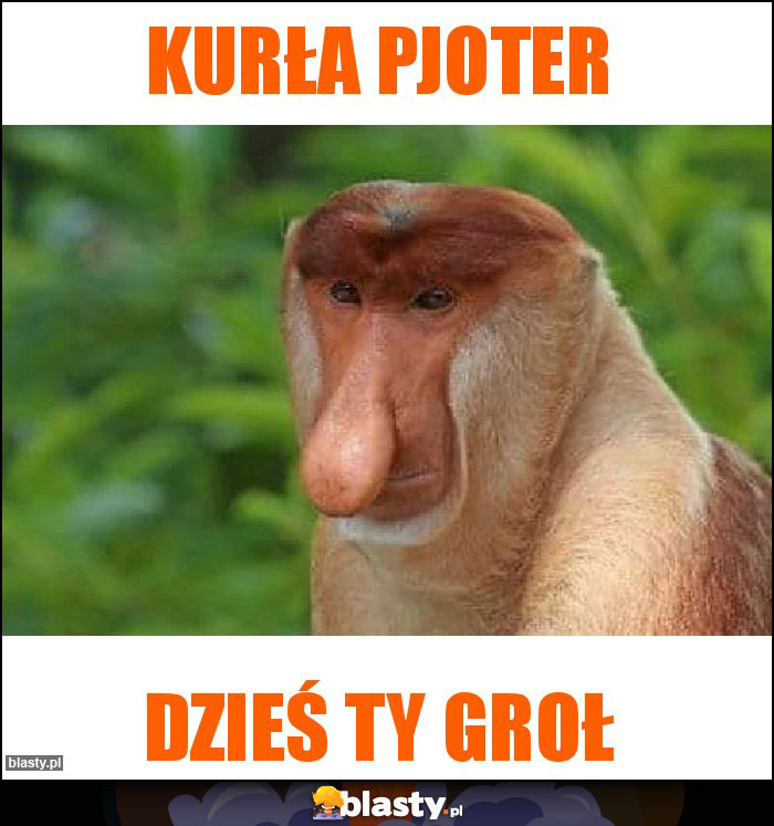 Kurła Pjoter