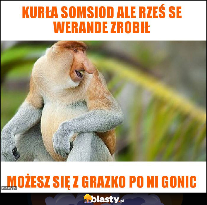 Kurła somsiod ale rześ se werande zrobił