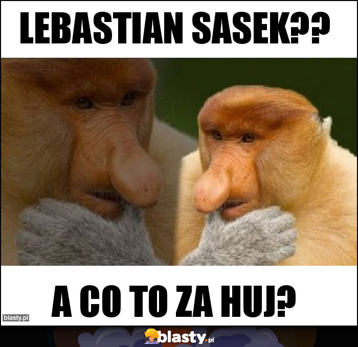 Lebastian Sasek??