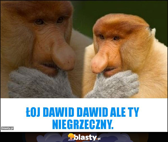 Łoj Dawid Dawid ale ty niegrzeczny.