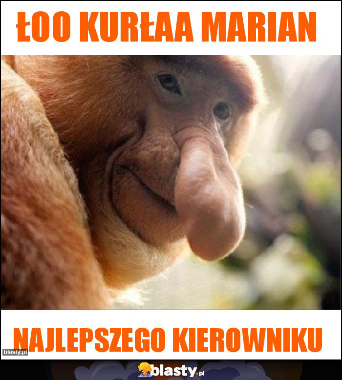 Łoo kurłaa Marian