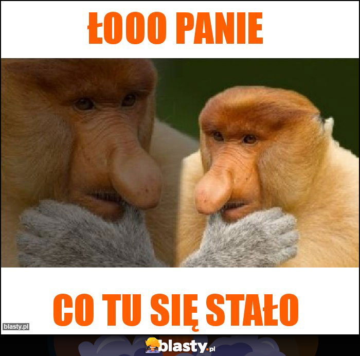 Łooo Panie