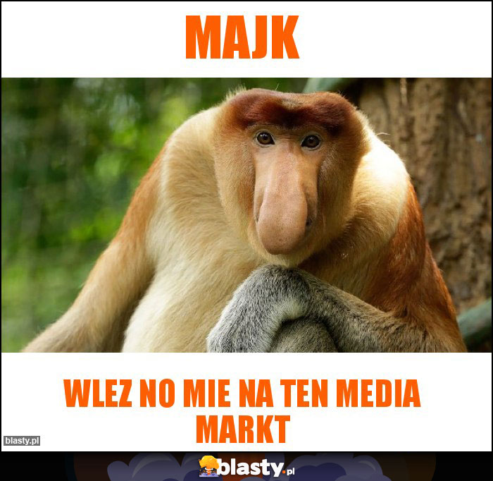 Majk