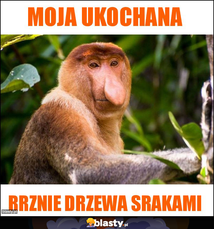 moja ukochana