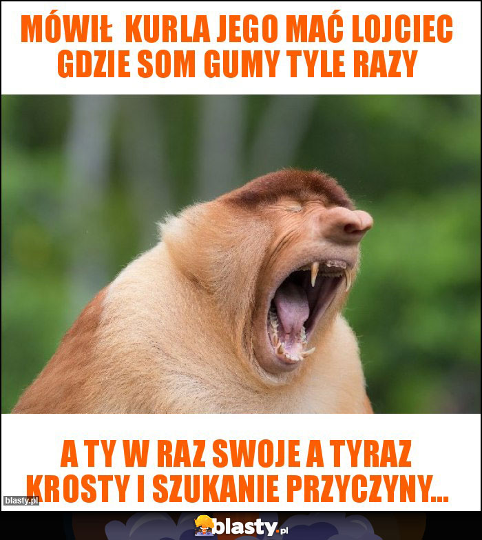 Mówił  kurla jego mać lojciec gdzie som gumy tyle razy