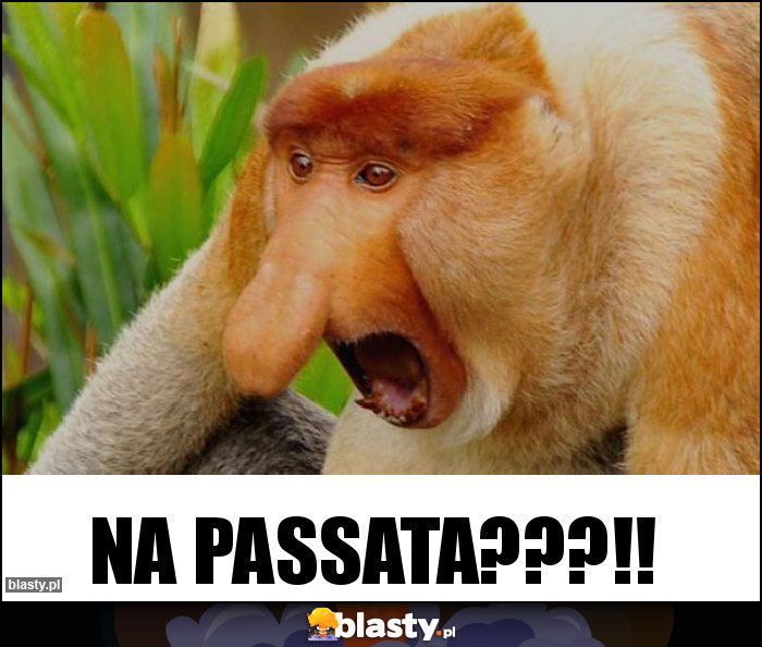 na passata???!!