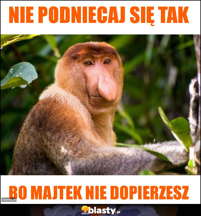 Nie podniecaj się tak