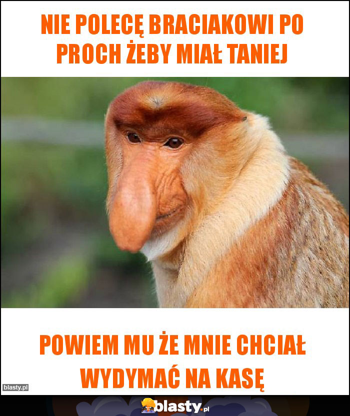 Nie polecę braciakowi po proch żeby miał taniej