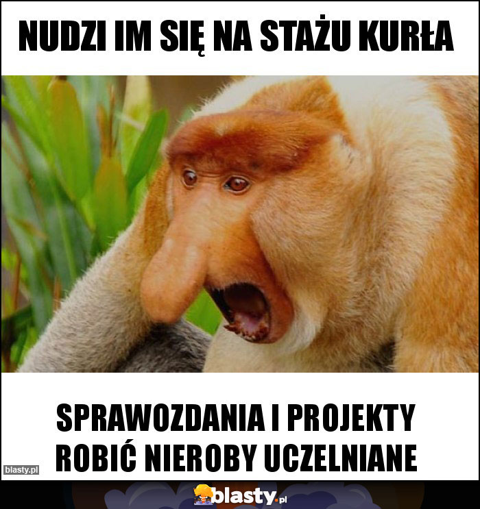 NUDZI IM SIĘ NA STAŻU KURŁA