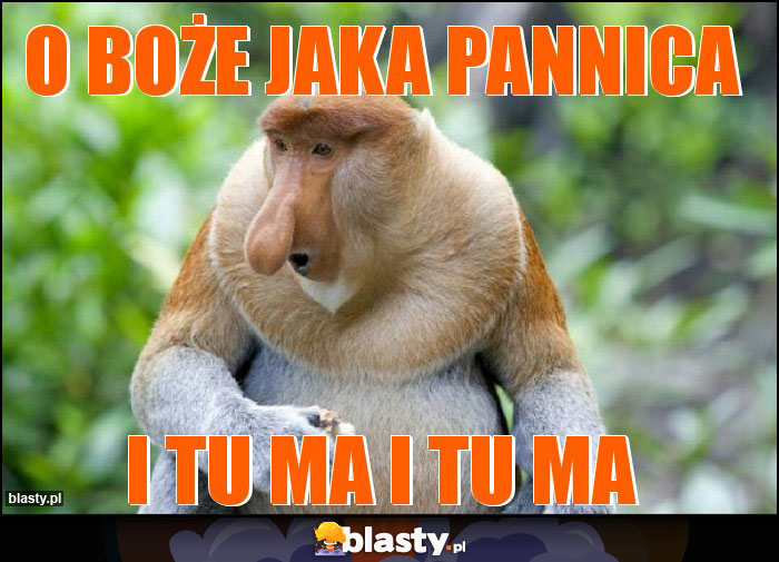 O Boże jaka pannica