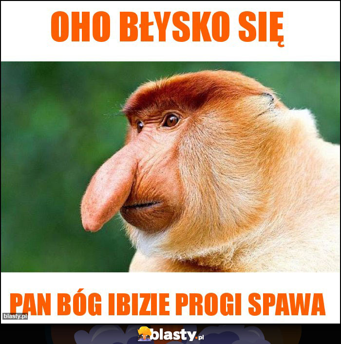 Oho błysko się