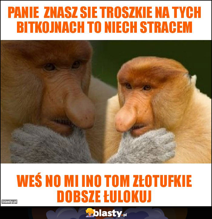 PANIE  ZNASZ SIE TROSZKIE NA TYCH BITKOJNACH TO NIECH STRACEM