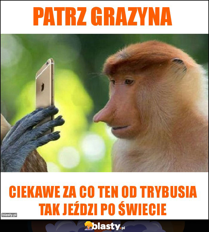 Patrz grazyna