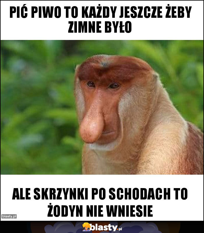 Pić piwo to każdy jeszcze żeby zimne było