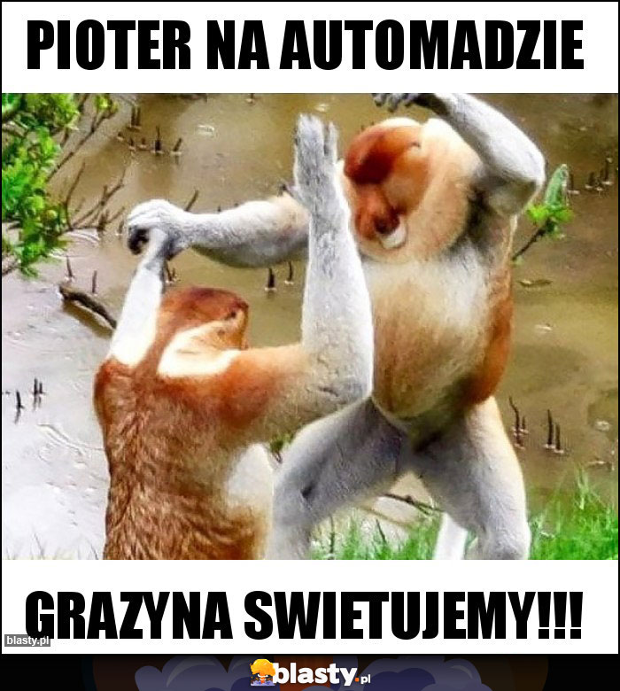 Pioter na automadzie