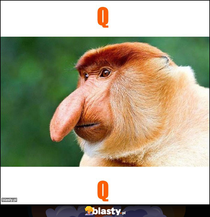 q