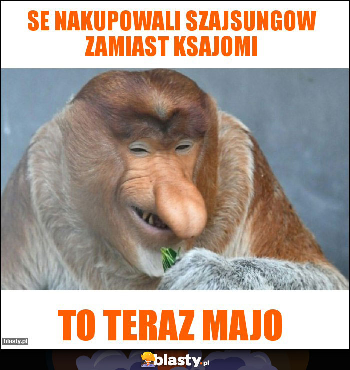 SE NAKUPOWALI SZAJSUNGOW ZAMIAST KSAJOMI