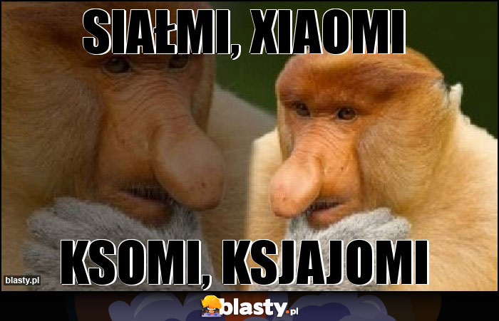 siałmi, xiaomi