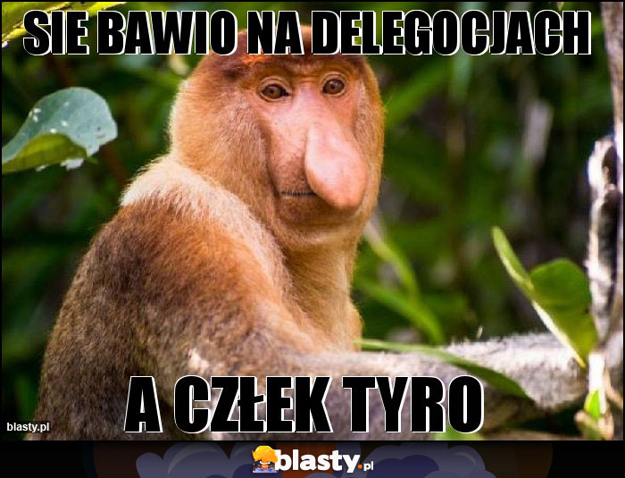 SIE BAWIO NA DELEGOCJACH