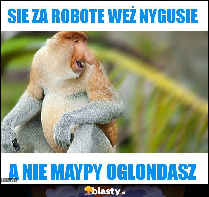 Sie za robote weż nygusie