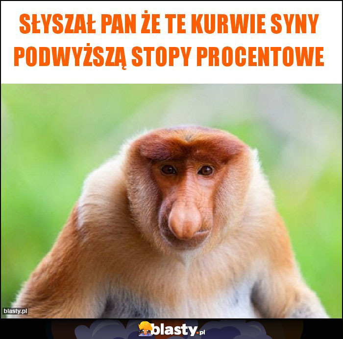 słyszał pan że te kurwie syny podwyższą stopy procentowe