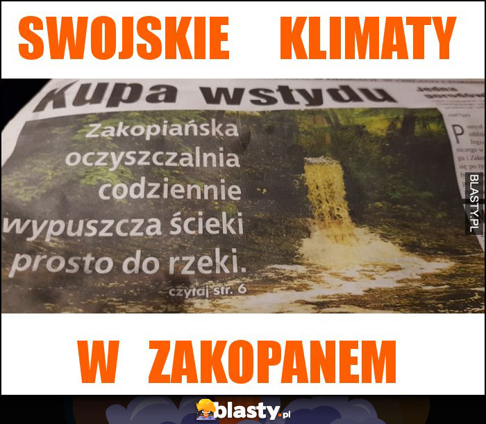 swojskie     klimaty