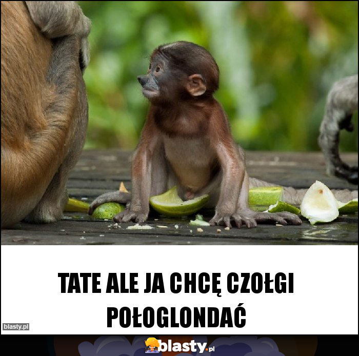 Tate ale ja chcę czołgi połoglondać