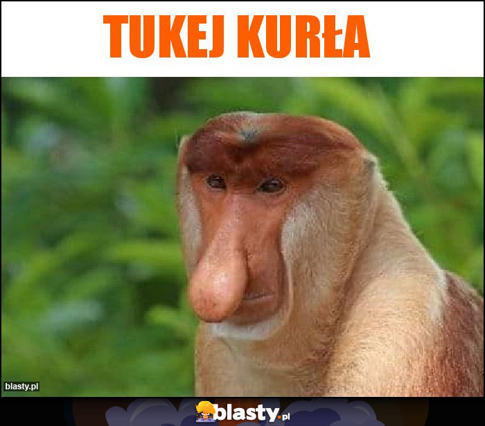 TUKEJ KURŁA