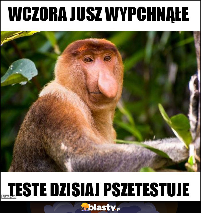 Wczora jusz wypchnąłe