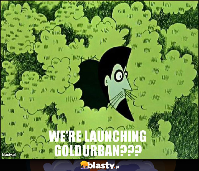 we're launching goldurban???