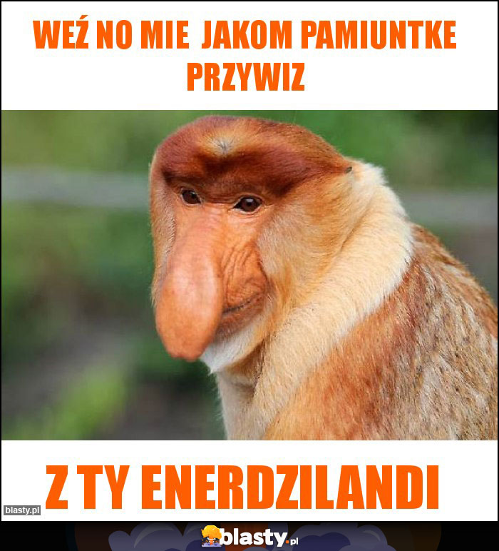 Weź no mie  jakom pamiuntke przywiz