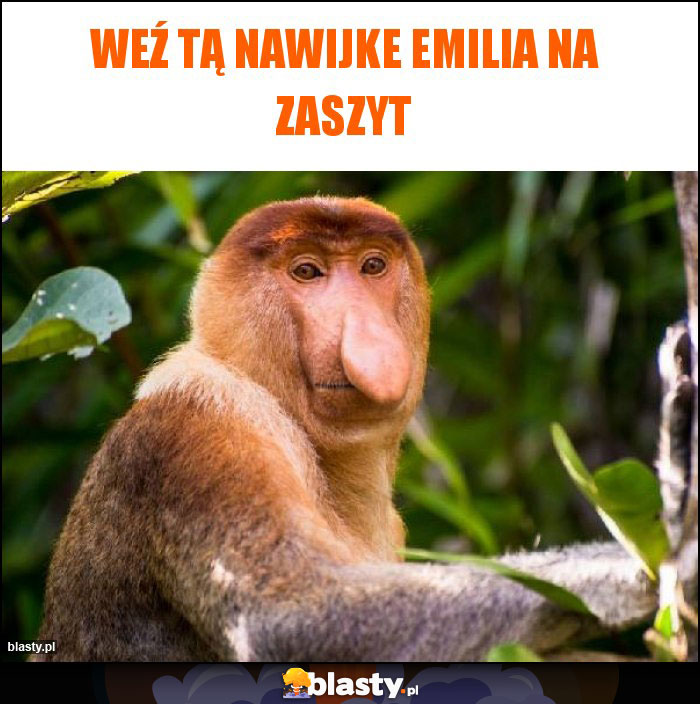 Weź tą nawijke emilia na zaszyt