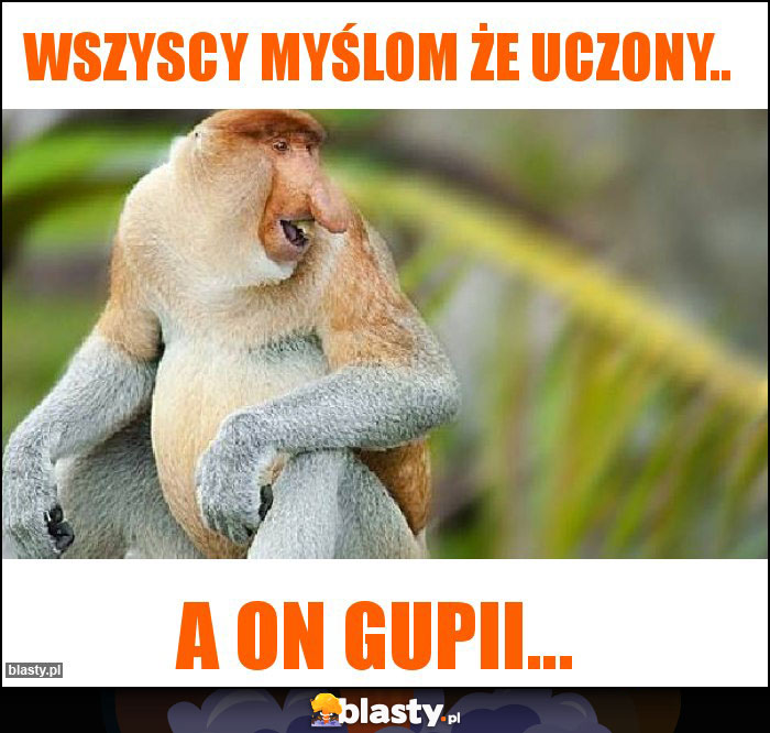 Wszyscy myślom że uczony..